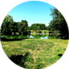Vente Terrain
